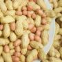 sale of good quality peanuts