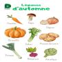 offre de légumes frais et de semences de pommes 