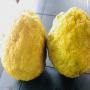 vente lemons et citrons frais et bio , 