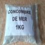 concombres de mer 