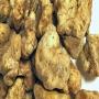  truffes du maroc