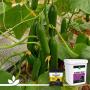  liquid fertilizers and bio simulants 