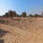 un terrain a vendre a tunis djerba chbebiya 