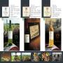 vins français de bordeaux de qualité et attractif