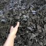 100% natural coconut shell charcoal for sale