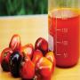 refined palm oil / palm oil - olein cp10,  cp8,  cp