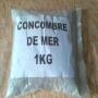 concombre de mer