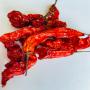 piment vegetarien seche ou en poudre 100% naturel