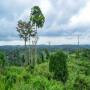 terrain de 700 hectares agricole ou industriel