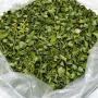 grossiste moringa origine asie