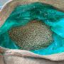 washed arabica coffee,  grade a,  screen 16/18