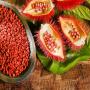 100% natural annatto seed for sale