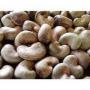 cashew nuts available for sale 2024 harvest