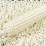 non-gmo white corn