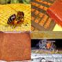 vends propolis