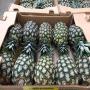 ananas en vente