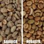 café robusta en déstockage 