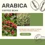 ethiopian arabica