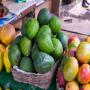 fruits tropicaux – mangues et avocat en gros 