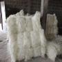 100% grade a natural sisal fiber for sale