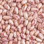 non-gmo red speckled sugar beans for sale