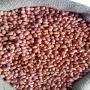 peanuts/groundnuts 80/90 size