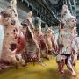 export viande rouge et blanc halal