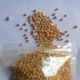 organic soybean bulk quantity