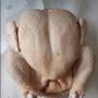 poulet 1.40€ kg. poids 1.3-1.6 kg. 