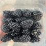 blackberries for sell