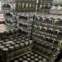 fresh monster energy drink for wholesale