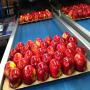 quality fuji and gala apples