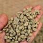 sale of robusta grade 2 green coffee