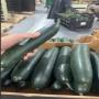 courgette noir a vendre