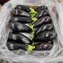 aubergine a vendre