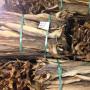 dried stockfish