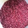 red kidney beans 