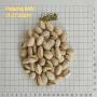 pistachio usx1 21-27,  raw / roast & salted