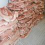 frozen pork meat