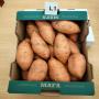  bellevue sweet potatoes from egypt 