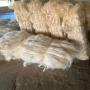 fibre de sisal ug / ssug 