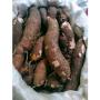 manioc disponible