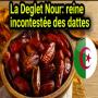  dattes deglet nour d'algérie 