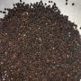 black pepper for sale 