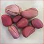 organic premium quality kola nuts wholesale 