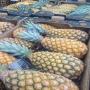 ananas du bénin 