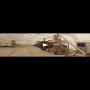 extrudeuse aliments poisson full ligne