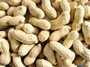 almonds, brazil nuts, chestnuts, coconuts, hazelnuts, 